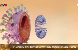 Singapore phát hiện biến thể của virus SARS-CoV-2 gây triệu chứng nhẹ hơn