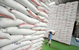 Đã dự trữ đủ số gạo thóc Thủ tướng Chính phủ yêu cầu