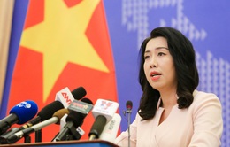 Việt Nam xin gửi lời chia buồn sâu sắc đến Nhà nước, Chính phủ, nhân dân Lebanon
