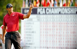 Tiger Woods tự tin hướng tới giải Major đầu tiên trong năm