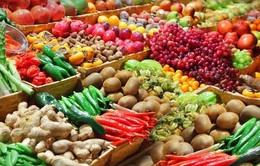 Chỉ số giá lương thực thế giới tăng trong tháng 7