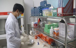 Viện Pasteur Nha Trang tiếp tục nhận hỗ trợ xét nghiệm Covid-19
