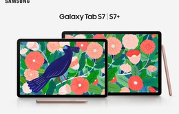 Galaxy Tab S7 và S7+ chính thức mở bán tại Việt Nam, lên kệ ngày 11/9