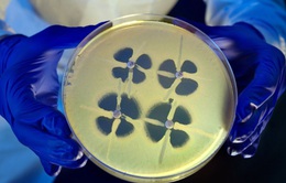 Trí tuệ nhân tạo có thể thiết kế kháng sinh mới trong vài ngày