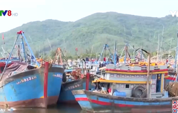 Đà Nẵng, Quảng Nam, Thừa Thiên - Huế kêu gọi tàu thuyền tránh bão số 5