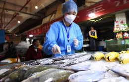 Indonesia ngừng sản phẩm xuất khẩu từ một công ty thủy sản sau kết quả xét nghiệm COVID-19