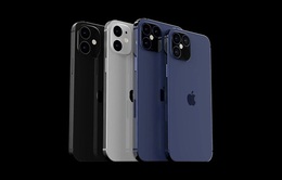 iPhone 11, iPhone 12 tăng giá tại Việt Nam