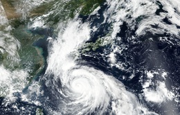 Nhật Bản sơ tán hàng chục nghìn dân, chuẩn bị đối phó với siêu bão Haishen
