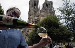 Năm 2020 là năm kinh hoàng đối với rượu champagne