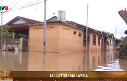 Malaysia sơ tán hàng chục nghìn người phòng tránh lũ lụt