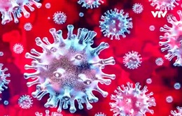 Biến thể mới của virus SARS-CoV-2: Không thấy độc lực mới cao hơn