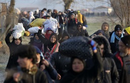 Triệt phá đường dây đưa người Syria vào Đức