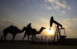 IEA hạ dự báo nhu cầu dầu năm 2021