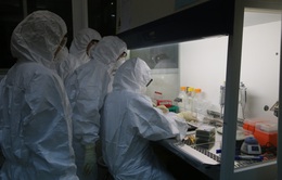 Bắc Giang: Lấy 30 mẫu bề mặt bao bì thực phẩm đông lạnh nhập khẩu xét nghiệm SARS-CoV-2