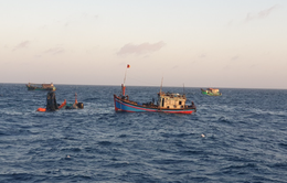 Hà Tĩnh: Đã tìm thấy tàu cá mất liên lạc trên biển