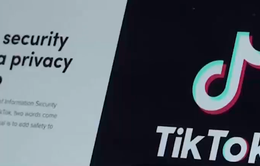 "Học viện đào tạo ngôi sao TikTok" hái ra tiền tại Italy