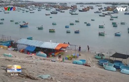 Cảnh báo tình trạng bán hải sản gian lận ở làng chài Mũi Né, Phan Thiết.