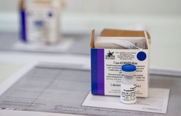 Nga xem xét cấp giấy chứng nhận tiêm chủng vaccine ngừa COVID-19