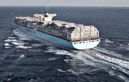 Maersk: “Cước vận chuyển container chưa đạt đỉnh”