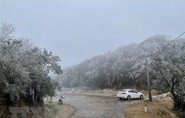 Băng giá, mưa tuyết tiếp tục xảy ra tại vùng núi cao phía Bắc, Hà Nội vẫn rét đậm
