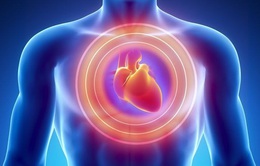 8 dấu hiệu đáng “báo động” của nguy cơ đau tim