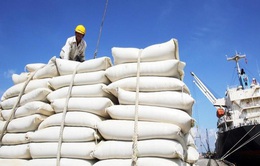 Doanh nghiệp xuất khẩu gạo hồi phục sản xuất