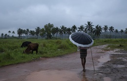 Lũ lụt, lở đất nghiêm trọng khiến ít nhất 25 người thiệt mạng ở Tây Nam Ấn Độ