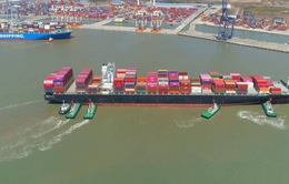 Giá cước vận tải biển của Việt Nam thấp nhất trong khu vực trên cùng tuyến