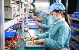 TP Hồ Chí Minh: Hơn 230.000 lao động được hỗ trợ từ quỹ Bảo hiểm thất nghiệp