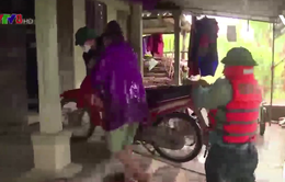 Người dân Hà Tĩnh chủ động phòng chống lụt bão