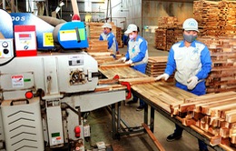 Hoa Kỳ khép lại vụ điều tra, không gây bất lợi cho xuất khẩu gỗ Việt Nam