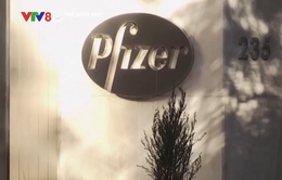 Dự báo doanh thu khổng lồ của Pfizer và Moderna