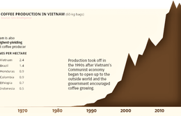 Việt Nam - Nhà sản xuất cà phê lớn thứ hai của thế giới