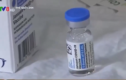 Johnson&Johnson xin cấp phép tiêm tăng cường vaccine ngừa COVID-19
