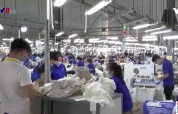 Doanh nghiệp Đà Nẵng phục hồi sản xuất trong tình trạng thiếu hụt lao động