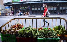 TP Hồ Chí Minh: Quán bar, nhà hàng đổi sang bán rau