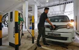 Singapore dùng “cây gậy và củ cà rốt” hướng tới phổ cập xe điện