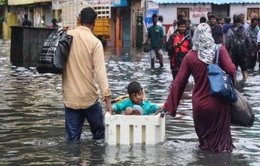Mưa lớn kéo dài tại Ấn Độ khiến ít nhất 5 người thiệt mạng, hàng trăm ngôi nhà bị thiệt hại