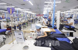 Việt Nam - Điểm sáng trong quá trình phục hồi chuỗi cung ứng Đông Nam Á