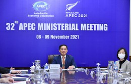 Nỗ lực của APEC đẩy lùi đại dịch COVID-19 và thúc đẩy phục hồi kinh tế