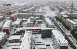 Trung Quốc: Bão tuyết gây gián đoạn giao thông