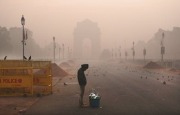 Ô nhiễm không khí nghiêm trọng, thủ đô Ấn Độ đóng cửa trường học trong 7 ngày