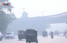 Ấn Độ: Thủ đô New Delhi chuẩn bị cho tình trạng khẩn cấp vì ô nhiễm không khí