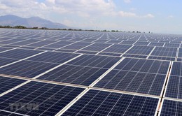 Ấn Độ sắp tổ chức điều trần điều tra chống bán phá giá pin năng lượng mặt trời