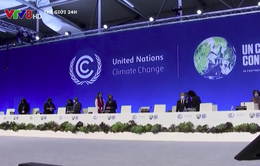 Hội nghị COP26: Cơ hội cuối cùng và tốt nhất để bảo vệ Trái đất