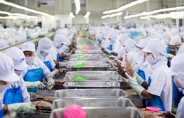 Thái Lan cấp phép cho 400.000 lao động nước ngoài