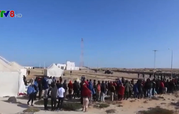 Tunisia giải cứu gần 500 người di cư ngoài khơi