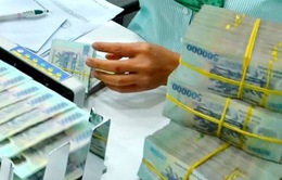 TP Hồ Chí Minh: Giải ngân tín dụng ưu đãi lãi suất tăng 120%