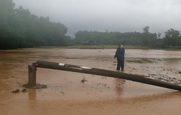 Bình Định: Mưa lớn khiến một phụ nữ bị nước lũ cuốn trôi và tử vong