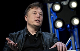 Elon Musk nhờ dân mạng định đoạt 21 tỷ USD cổ phiếu Tesla